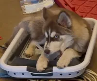 processed/95e27131-7faf-496c-b83c-3339fc1e2d0d/listing/c3a7da51-c0b9-4b1e-a186-606de02fa6d0/9af19ba0-45a7-47dd-ba8f-41f449379cdc