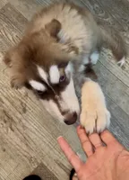 processed/95e27131-7faf-496c-b83c-3339fc1e2d0d/listing/c3a7da51-c0b9-4b1e-a186-606de02fa6d0/a4952fd7-b75b-4734-b7d2-9955acb41bed