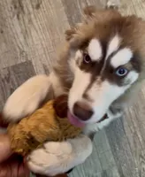 processed/95e27131-7faf-496c-b83c-3339fc1e2d0d/listing/c3a7da51-c0b9-4b1e-a186-606de02fa6d0/f54d7ce3-5db8-48d6-9903-e099204f2c1e