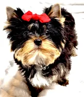 processed/95e27131-7faf-496c-b83c-3339fc1e2d0d/listing/d3577c75-a569-4506-8ecd-4cfe525cccae/1ea63627-31a6-4516-b0a1-29fd43210d35