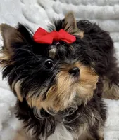 processed/95e27131-7faf-496c-b83c-3339fc1e2d0d/listing/d3577c75-a569-4506-8ecd-4cfe525cccae/23989cd9-1bc6-4592-a627-e786507b9cb6