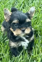 processed/95e27131-7faf-496c-b83c-3339fc1e2d0d/listing/d3577c75-a569-4506-8ecd-4cfe525cccae/5308024b-8afd-41b0-89be-642083680db1