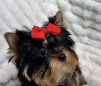 processed/95e27131-7faf-496c-b83c-3339fc1e2d0d/listing/d3577c75-a569-4506-8ecd-4cfe525cccae/93c65b9c-8b5b-430f-8ab3-6b40528d70ed