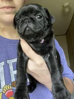 processed/95e50c79-e277-4e7f-b682-6ba35bb91787/facility/35a32573-1fd1-4f0a-9136-fb037d06d7a9