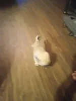 processed/95e50c79-e277-4e7f-b682-6ba35bb91787/facility/5592eaac-7a4d-411b-8fda-caf70828dd9c