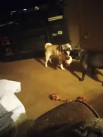 processed/95e50c79-e277-4e7f-b682-6ba35bb91787/facility/5df4f2fe-9ce7-4f6e-a41d-85323224931a