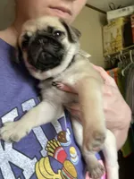 processed/95e50c79-e277-4e7f-b682-6ba35bb91787/facility/967a4078-889e-4837-9428-d5d4bd1f9e0f