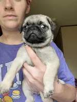 processed/95e50c79-e277-4e7f-b682-6ba35bb91787/facility/d0bd3962-60e8-4ee8-9a4c-165803d8d987