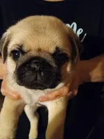 processed/95e50c79-e277-4e7f-b682-6ba35bb91787/facility/d4a53f67-7bea-4651-81ab-f80958a7ff64