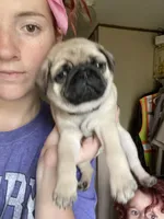 processed/95e50c79-e277-4e7f-b682-6ba35bb91787/facility/e33935bf-446c-4421-9556-44c946e525cc