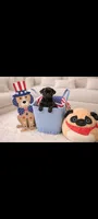 Squirel, a male Pug for sale in Liberty, TX – 3 of 4