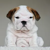 processed/95e95aaf-8b58-4c97-82ba-b4eff54bd093/facility/3e65c237-b6c7-4601-9f71-851f56b93eb7