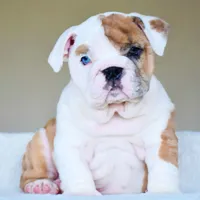 processed/95e95aaf-8b58-4c97-82ba-b4eff54bd093/facility/61a3a18d-fcbc-4070-8819-8d8ec04ee6ae