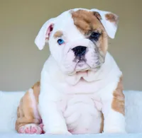 processed/95e95aaf-8b58-4c97-82ba-b4eff54bd093/facility/61a3a18d-fcbc-4070-8819-8d8ec04ee6ae