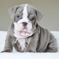 processed/95e95aaf-8b58-4c97-82ba-b4eff54bd093/facility/6e0a12f2-f783-4cd0-8dda-b381e3e173e6