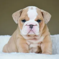 processed/95e95aaf-8b58-4c97-82ba-b4eff54bd093/facility/8737ca96-21bf-4e61-a81a-c4db983b8636