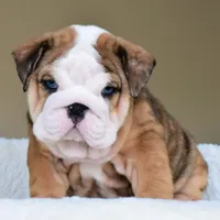 processed/95e95aaf-8b58-4c97-82ba-b4eff54bd093/facility/9d51dd19-bcb2-42ee-8b29-4e8a5f2ac35a