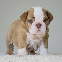 processed/95e95aaf-8b58-4c97-82ba-b4eff54bd093/facility/a7e8e367-feec-4a4a-a160-b19ea1b919d5