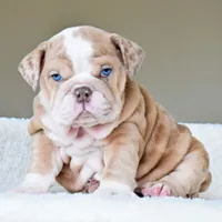 processed/95e95aaf-8b58-4c97-82ba-b4eff54bd093/facility/c257903d-530e-46e9-b021-7f519901d4ee