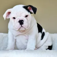 processed/95e95aaf-8b58-4c97-82ba-b4eff54bd093/facility/cf265c51-fd50-4f0c-ac8b-4e3c36a0c65f