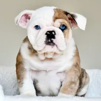 processed/95e95aaf-8b58-4c97-82ba-b4eff54bd093/facility/f2e15b45-ffe8-4b60-8709-ab27cf5fad8b