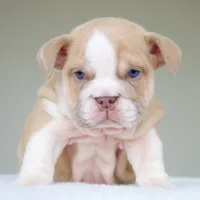 processed/95e95aaf-8b58-4c97-82ba-b4eff54bd093/listing/05cf81ed-3437-416a-820b-a57c80662876/0e220077-7e95-4081-8321-e1043c533375