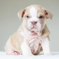 processed/95e95aaf-8b58-4c97-82ba-b4eff54bd093/listing/05cf81ed-3437-416a-820b-a57c80662876/349220bd-1a34-4522-a522-271e6ee04636