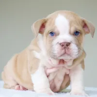 processed/95e95aaf-8b58-4c97-82ba-b4eff54bd093/listing/05cf81ed-3437-416a-820b-a57c80662876/414dfcb1-91db-4443-89d2-2bc1a98b80af