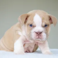 processed/95e95aaf-8b58-4c97-82ba-b4eff54bd093/listing/05cf81ed-3437-416a-820b-a57c80662876/4f5ba62e-3a01-49c5-90c2-687341fe4b61