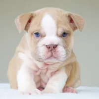 processed/95e95aaf-8b58-4c97-82ba-b4eff54bd093/listing/05cf81ed-3437-416a-820b-a57c80662876/f38e92ca-9244-402c-a3b2-b6fabc8a4f93