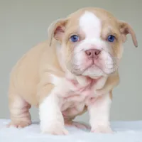 processed/95e95aaf-8b58-4c97-82ba-b4eff54bd093/listing/05cf81ed-3437-416a-820b-a57c80662876/f47aca17-a1cd-4f74-b1c1-74d381aa0b82