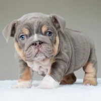 processed/95e95aaf-8b58-4c97-82ba-b4eff54bd093/listing/8ca103b4-163c-40da-b87d-03065e1923e8/09e5b395-6ce3-4858-8b02-f105a07e8fab