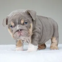 processed/95e95aaf-8b58-4c97-82ba-b4eff54bd093/listing/8ca103b4-163c-40da-b87d-03065e1923e8/40fabc7e-d1db-43fd-840f-aca0e12095ae