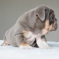 processed/95e95aaf-8b58-4c97-82ba-b4eff54bd093/listing/8ca103b4-163c-40da-b87d-03065e1923e8/4dc4d69e-f185-450c-9fe4-597da4d804a6