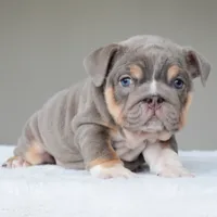 processed/95e95aaf-8b58-4c97-82ba-b4eff54bd093/listing/8ca103b4-163c-40da-b87d-03065e1923e8/517ccabb-9ebd-4f1b-92d9-383a4fa95000