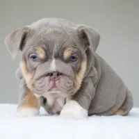 processed/95e95aaf-8b58-4c97-82ba-b4eff54bd093/listing/8ca103b4-163c-40da-b87d-03065e1923e8/59f536b6-0cb0-405d-954e-e8350463aa6c