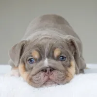 processed/95e95aaf-8b58-4c97-82ba-b4eff54bd093/listing/8ca103b4-163c-40da-b87d-03065e1923e8/da141c95-02d4-450f-87bc-bb646bb86ca9