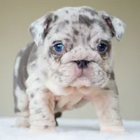 processed/95e95aaf-8b58-4c97-82ba-b4eff54bd093/listing/94bdb505-fbbc-435e-a566-11d5ab083923/28e1d6e4-8da9-4662-9147-913a4c1e712d