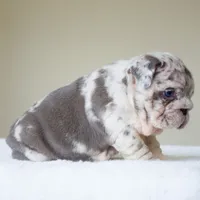 processed/95e95aaf-8b58-4c97-82ba-b4eff54bd093/listing/94bdb505-fbbc-435e-a566-11d5ab083923/5e2ceccd-ee50-486d-88b0-87519d0d24c6