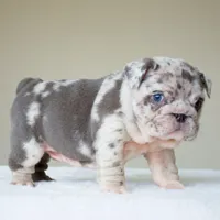 processed/95e95aaf-8b58-4c97-82ba-b4eff54bd093/listing/94bdb505-fbbc-435e-a566-11d5ab083923/622da279-668e-4e9a-8124-0acd96ebf1a7