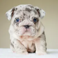 processed/95e95aaf-8b58-4c97-82ba-b4eff54bd093/listing/94bdb505-fbbc-435e-a566-11d5ab083923/9936a715-4cf1-41b1-b324-938c68e38e65