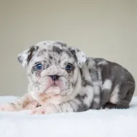 processed/95e95aaf-8b58-4c97-82ba-b4eff54bd093/listing/94bdb505-fbbc-435e-a566-11d5ab083923/ea7813b8-40e9-4dc1-8a95-4870f7f8ecfa