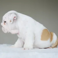 processed/95e95aaf-8b58-4c97-82ba-b4eff54bd093/listing/af2f2e08-de65-44e8-afd9-e964f6790927/2ac1a5ff-f4fb-4b73-99ad-29d54743149a