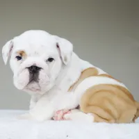 processed/95e95aaf-8b58-4c97-82ba-b4eff54bd093/listing/af2f2e08-de65-44e8-afd9-e964f6790927/61da5ccb-f461-4d1d-8609-0271324cb209