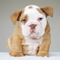 processed/95e95aaf-8b58-4c97-82ba-b4eff54bd093/listing/c15afce7-1d27-43dd-a0cb-4d8416a2129b/2e329190-6c2f-4e98-9b85-e0c6ecca5bbf