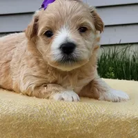 processed/95ed9858-3d8f-489c-9aa6-7597e38333b7/facility/2e12941c-71d1-40d0-9b8e-1b151831033a