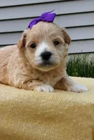 processed/95ed9858-3d8f-489c-9aa6-7597e38333b7/facility/2e12941c-71d1-40d0-9b8e-1b151831033a