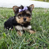 processed/95ed9858-3d8f-489c-9aa6-7597e38333b7/facility/a3ac44e6-3959-4945-bcfc-226b92032d55