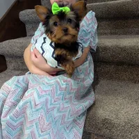 processed/95ed9858-3d8f-489c-9aa6-7597e38333b7/facility/fffc9798-a99d-4b51-86c8-18fcf4c6c25a