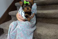 processed/95ed9858-3d8f-489c-9aa6-7597e38333b7/facility/fffc9798-a99d-4b51-86c8-18fcf4c6c25a